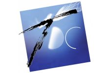 Logo de Théâtre de la Dame de Cœur Logo de Théâtre de la Dame de Cœur